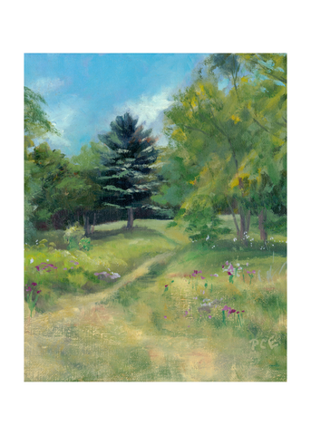 CARD - "All Spruced Up!"©