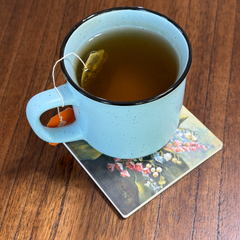 May Birth Month Flower Coaster Set (4) – Lily of the Valley & Hawthorn