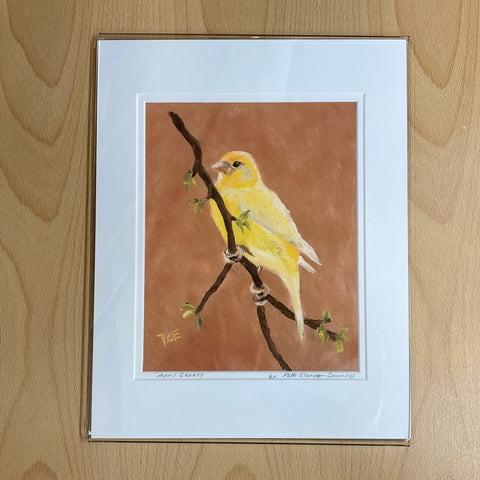 11x14 BMB Print - "April Canary"©