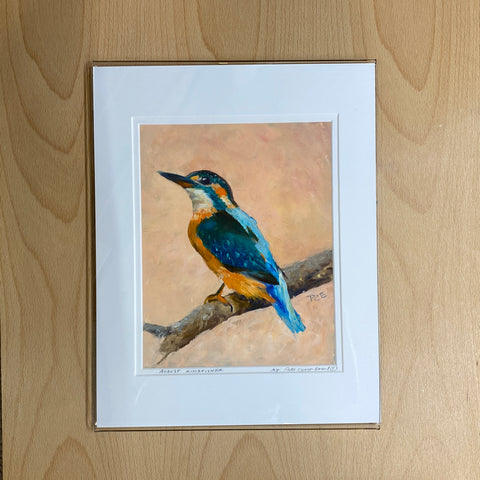 11x14 BMB Print - "August Kingfisher"©