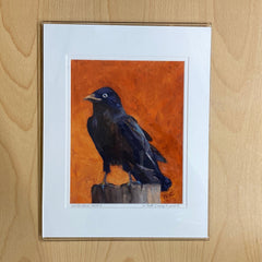 11x14 BMB Print - "December Raven"©