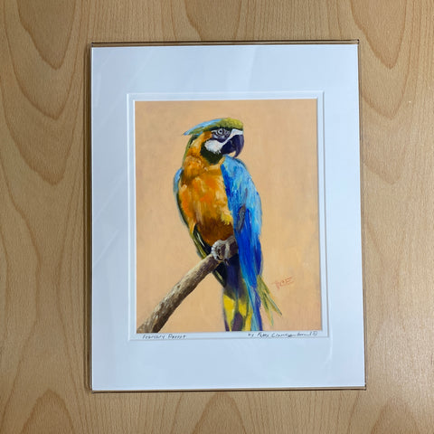 11x14 BMB Print - "February Parrot"©