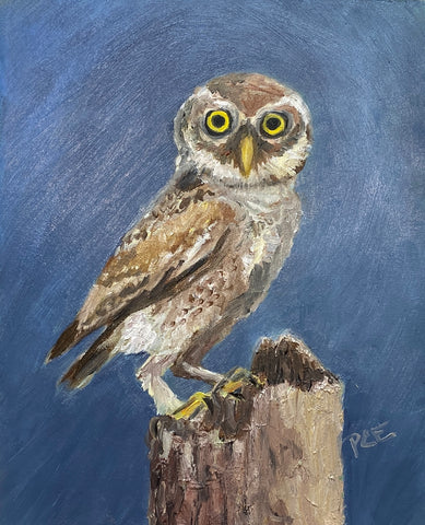 BMB NOTECARD - January Owl