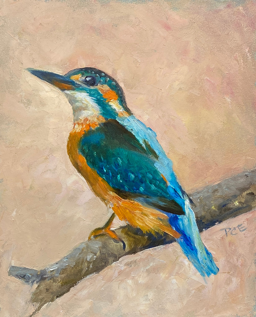BMB NOTECARD - August Kingfisher
