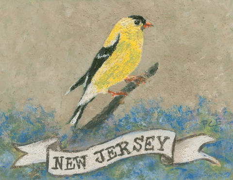 NJ/Eastern Goldfinch